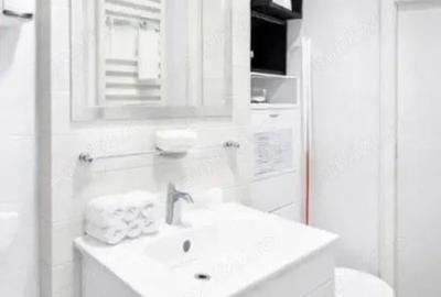 Apartament cu 2 camere semidecomandat în Teiul Doamnei - 6