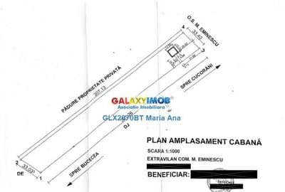 Teren Padure 6.500 mp., la strada, zona Cucorani! - 1