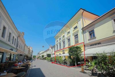 De vanzare -- Spatiu comercial parter 409 mp, Vasile Alecsandri - 58