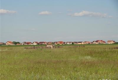 Teren de 32000 mp, în Moșnița Veche - 1
