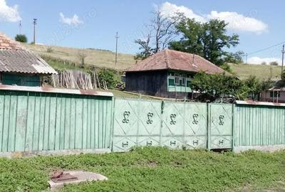 Casă cu Teren 4634 Mp în Gugești - 1