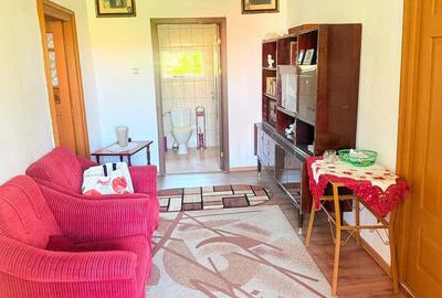 Casă cu 3 camere cu Teren 6400 Mp în Dealu Lăunele - 6