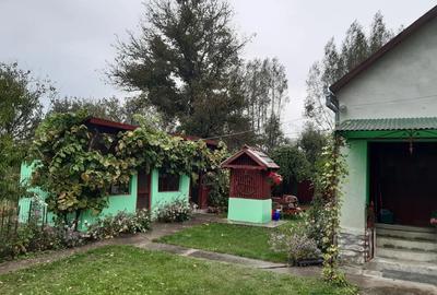 Casa de vanzare in sat Capalnas, comuna Birchis - 6