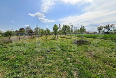 Teren intravilan 1500mp , zona Cionchesti - 6