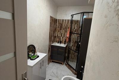 Apartament cu 2 camere decomandat în Calea București - 1