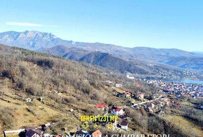 CALIMANESTI, TEREN 1231 MP - 13