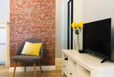 Apartament cu 3 camere semidecomandat, mobilat în Aradului - 10