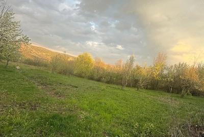 Teren de 4000 mp, în Predeal - 6