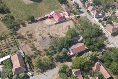 Teren pentru casa in Siria pe Soseaua spre Cetate - 4