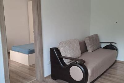 Apartament cu 2 camere semidecomandat în Iosefin - 2