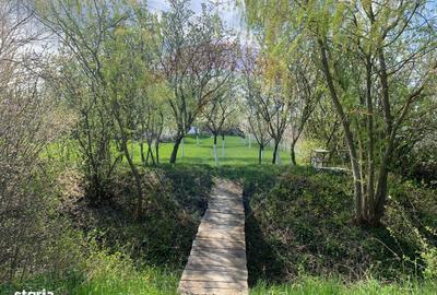 Casă cu 3 camere cu Teren 1090 Mp în Avram Iancu - 5