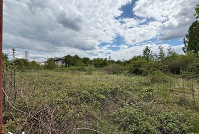 Spațiu comercial, de 700 mp, în Vasile Alecsandri - 5