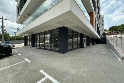 Spatiu comercial 100-173mp, Rediu, Don Homes, inchiriere/ vanzare - 3