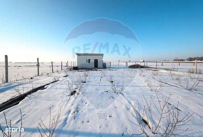 Teren de 4300 mp, în Sânpetru