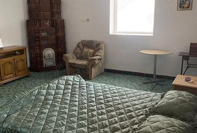 Casă cu 2 camere în Cricău - 4
