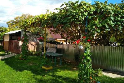 Casa cu teren in Razboienii de Jos, Neamt - 2