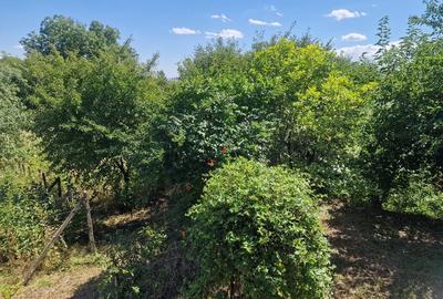 Casa in mediu rural cu teren - 13