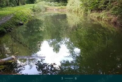 Vand, casa, pensiune - 6