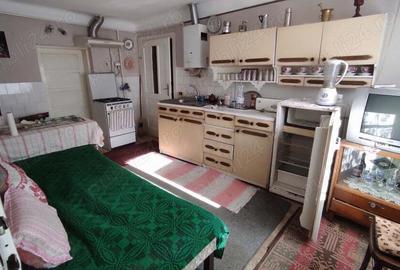 Casa de vanzare Valea lui Mihai - 3