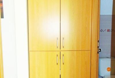 Apartament cu 3 camere,mobilat si utilat, Astra-Somes - 14