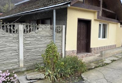 Vand casa in Moldova Noua - 4