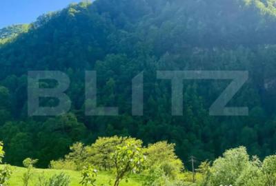 Casă cu 3 camere cu Teren 1470 Mp în Șugag - 3