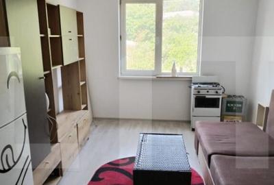 Garsoniera/camera camin, de vanzare, 20,5 mp, zona Liceu Eli - 3