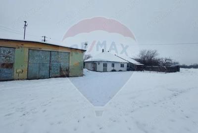 Casă cu 5 camere cu Teren 7531 Mp în Sacu - 7