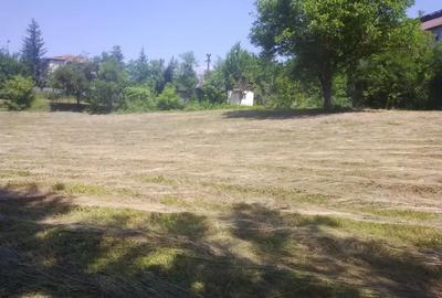 Teren de 4000 mp, în Copăceni - 3