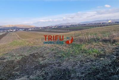 Teren de 2125 mp, în Bărăbanț - 10