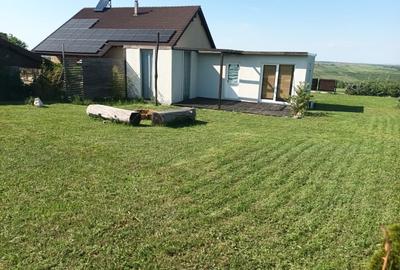 Casă cu 2 camere cu Teren 1000 Mp în Săldăbagiu de Munte - 3