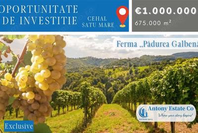 Teren de 675000 mp, în Central