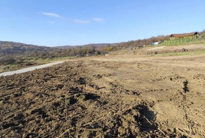 Teren Construcții intravilan de 500 mp, în Cetății - 1