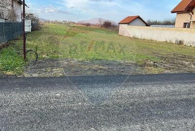 Teren de 3600 mp, în Prejmer - 7