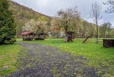 Hotel/Pensiune, de 719 mp, în Scrind-Frăsinet - 22