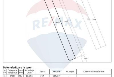 Teren agricol extravilan de 24859 mp, în Snagov - 4