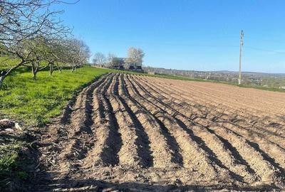 Casă cu Teren 5200 Mp în Pârteștii de Jos - 2