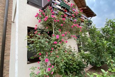 Vanzare Vila Moderna P+M, 6 camere, teren 1622 mp, in Galati, zona METRO - 20