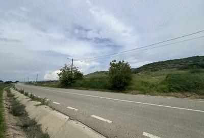 Teren intravilan, front stradal 30 metri, 5000 mp - comision 0 - 3
