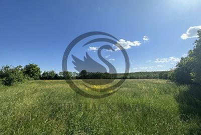 Teren de 11000 mp, în Ghirdoveni - 7