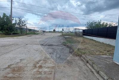 Spațiu comercial, de 880 mp, în Muntenii de Jos - 3