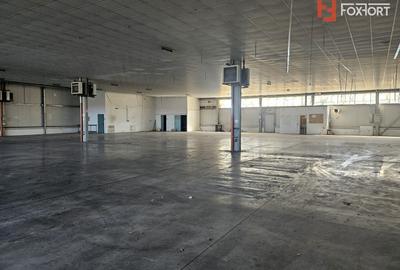 Spațiu industrial, de 1,400 mp, în Ghiroda - 3