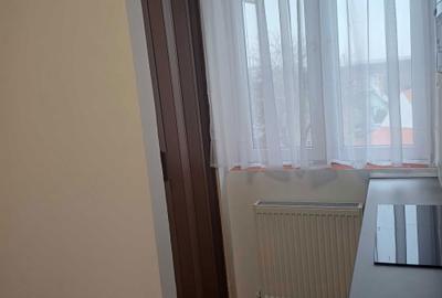 Apartament cu 2 camere decomandat în Turnișor - 6