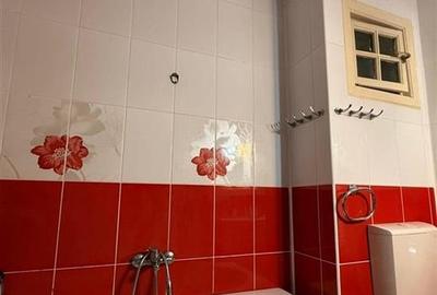 Duplex cu 9 camere cu Teren 300 Mp în Lunei - 4