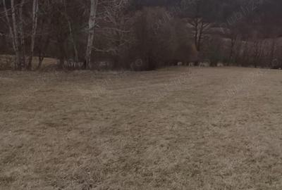 Casă cu 2 camere în Central - 8