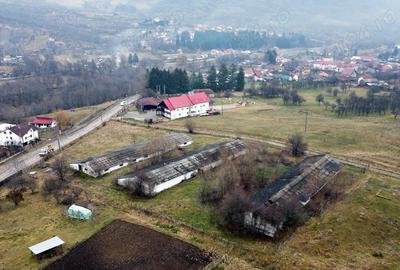 Teren de 8574 mp, în Căpățânenii Pământeni - 11