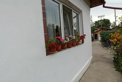 Casă cu 4 camere în Braniștea - 10
