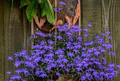 Casă cu 2 camere cu Canalizare în Zagon - 17