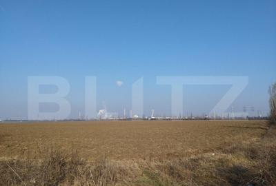 Teren 6,06 Ha, deschidere 145m , Barcanesti - 5