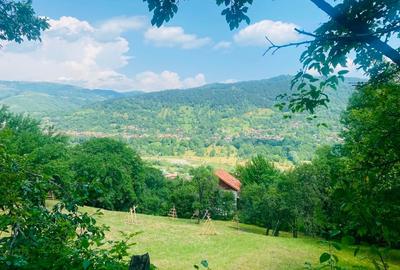 Teren 4176 mp Valea Doftanei (Teșila) – vedere panoramică, toate utilitățile - 5